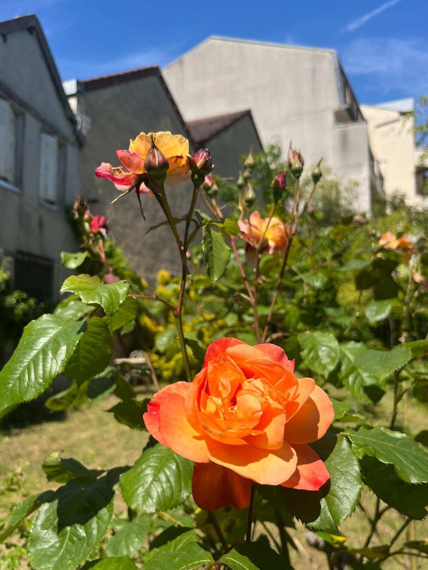 La Maison Broc'art * Auxerre